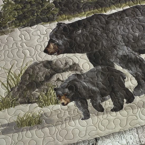 Donna Sharp Bear Panels Quilt Set With Shams 3 Donna Sharp Bear Panels Quilt Set With Shams - Image 3