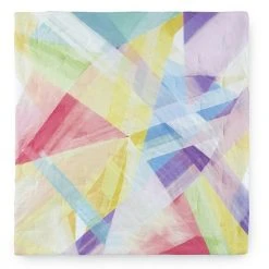 Donna Sharp Prism Comforter Set With Shams 7 Donna Sharp Prism Comforter Set With Shams -Donna Sharp shop unnamed file 549